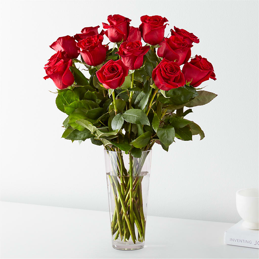 Long Stem Red Rose Bouquet – Flowers On The Vine - Parma, Parma OH