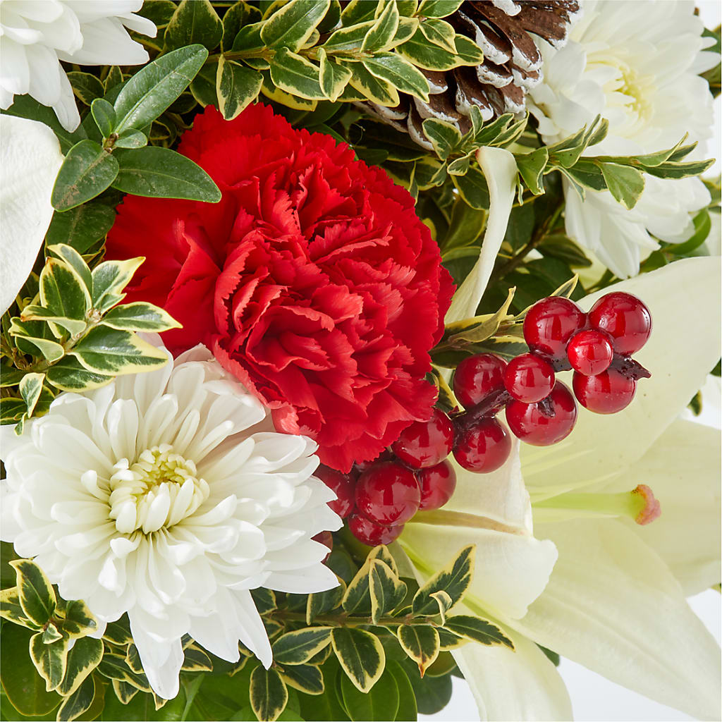 Festive Moments Tree –  Flowers On The Vine - Parma, Parma OH