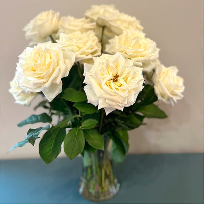 Long Stem Yellow Rose Bouquet –  Flowers On The Vine - Parma, Parma OH