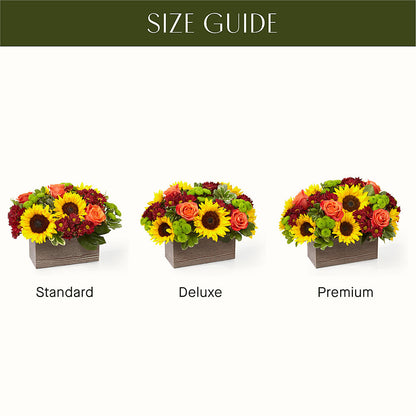 Happy Harvest Garden –  Flowers On The Vine - Parma, Parma OH