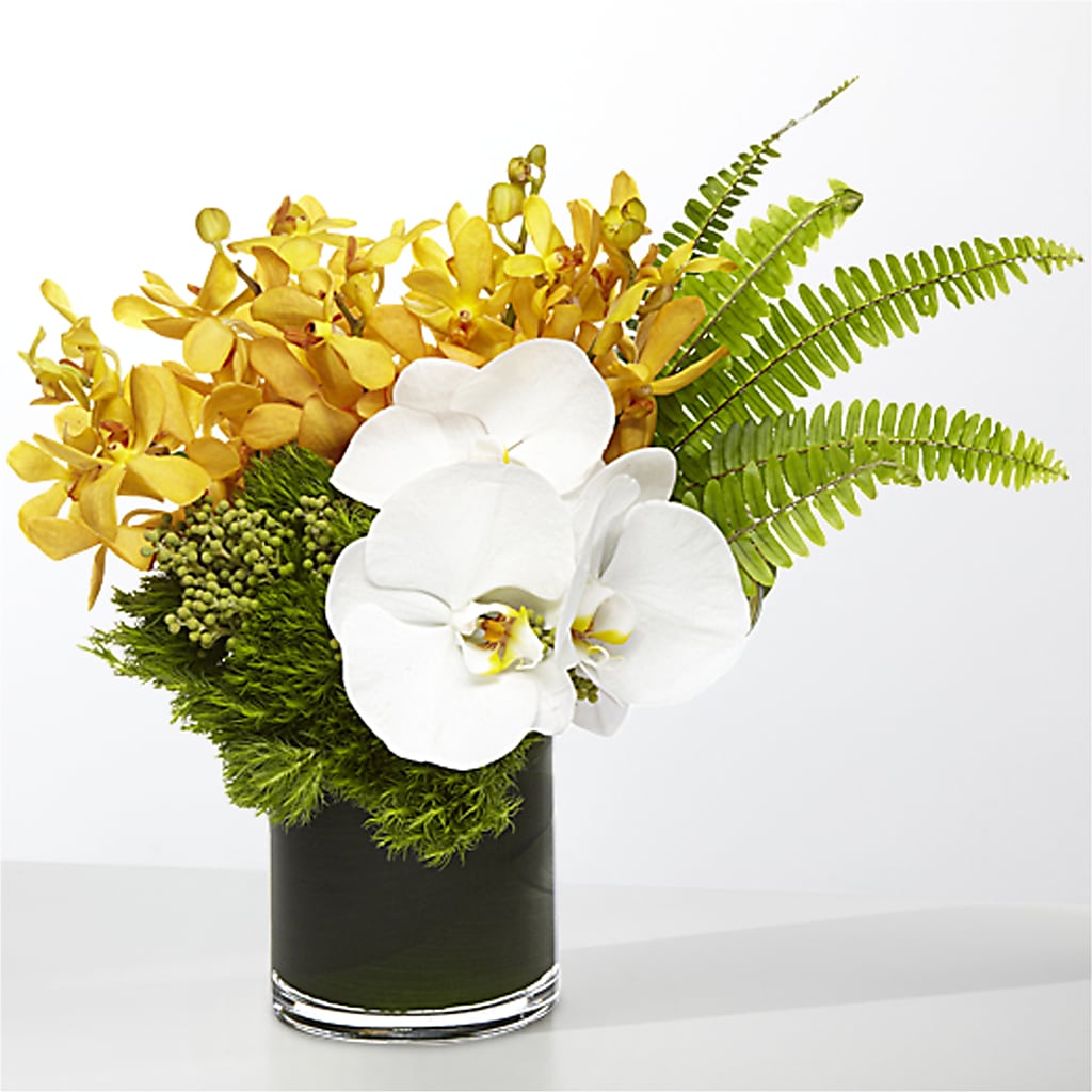 The Tropics –  Flowers On The Vine - Parma, Parma OH