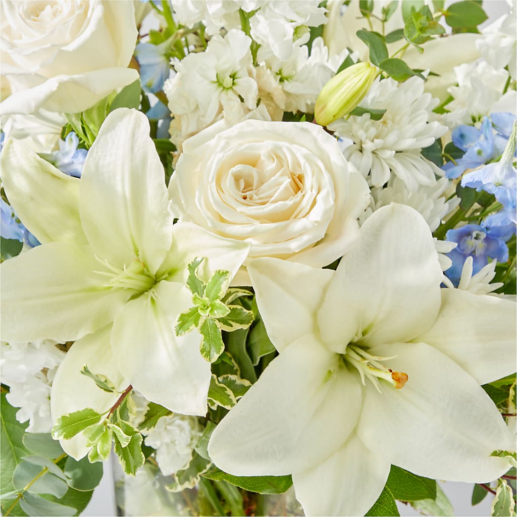 Peace of Mind Bouquet –  Flowers On The Vine - Parma, Parma OH