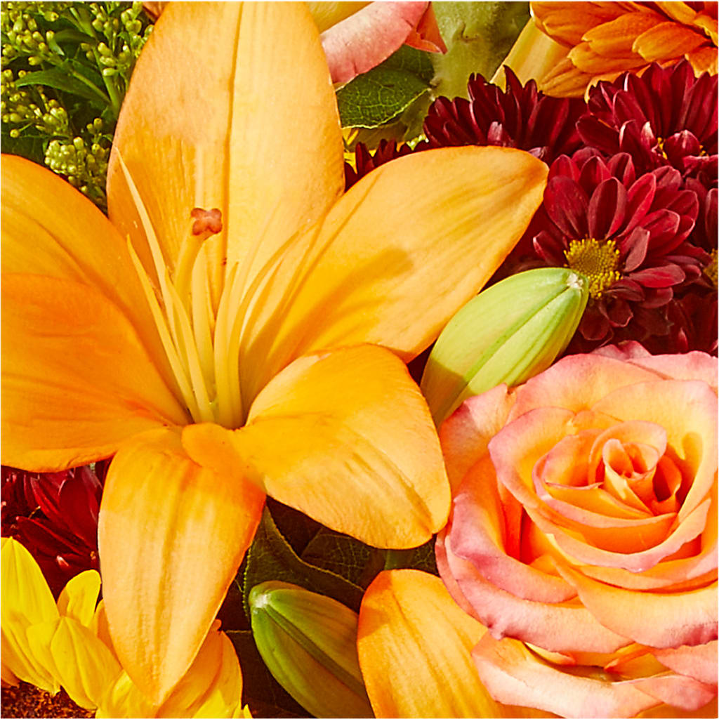 Seasons Change Bouquet –  Flowers On The Vine - Parma, Parma OH