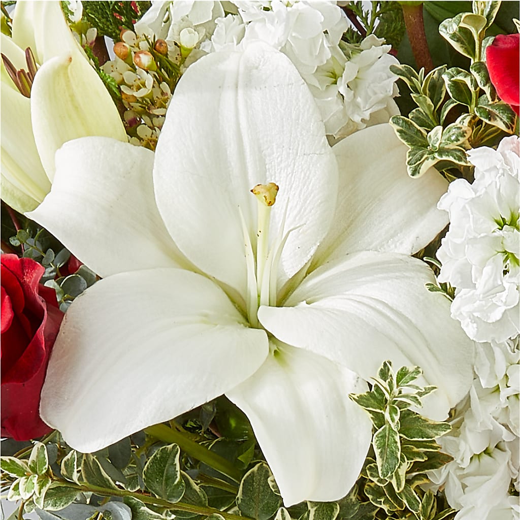 Twinkle Lights Bouquet –  Flowers On The Vine - Parma, Parma OH