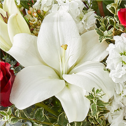 Twinkle Lights Bouquet –  Flowers On The Vine - Parma, Parma OH