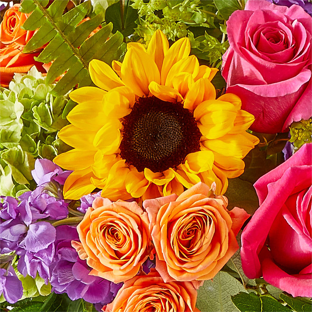 Vibrant Greetings Bouquet –  Flowers On The Vine - Parma, Parma OH