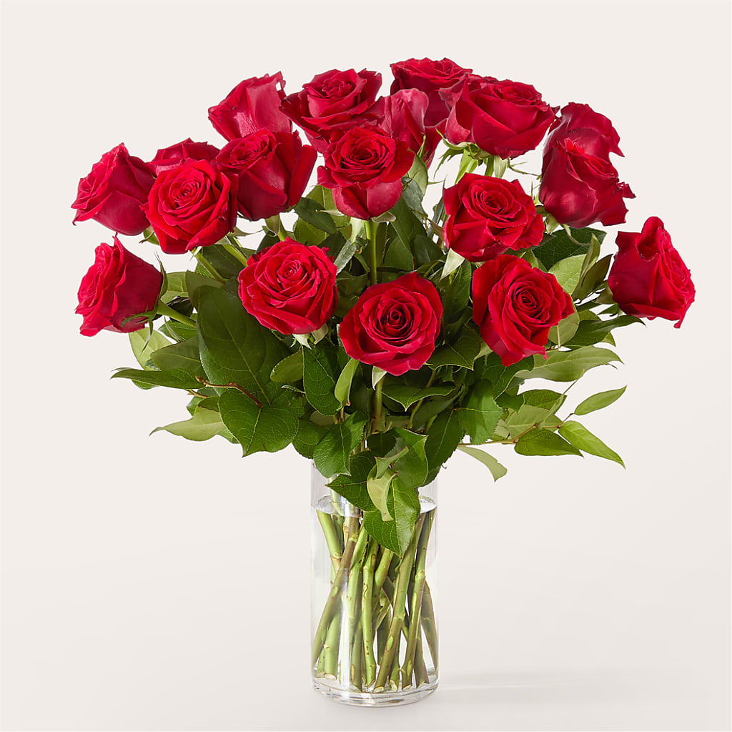 The One Red Rose Bouquet –  Flowers On The Vine - Parma, Parma OH